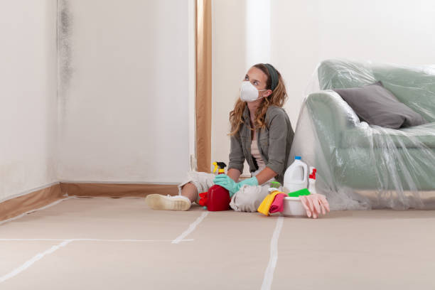 Reliable Black Mold Removal contractor in Arlington, TN by WQB Mold Removal